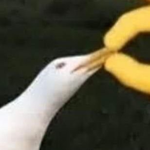 DTRX101's profile picture. Eh... Lurker.