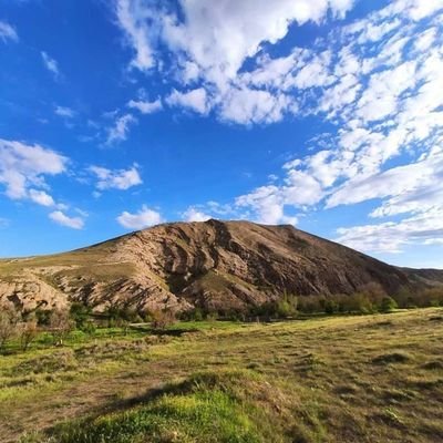 RNajarlou93289's profile picture. RAMIN NAJARLOU