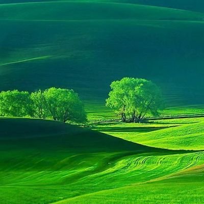 mondikely's profile picture. 