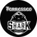 Tennessee_Shark