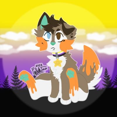 Patch Staroyさんのプロフィール画像
