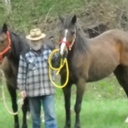 Bruce Whitley - @DWolf23 - Twitter