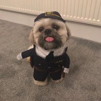 Mike Mitchell (@fbreject1) 's Twitter Profile