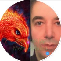 Metin Akbulut ✖️(@BorsaMeTak) 's Twitter Profileg