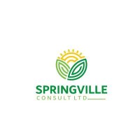 Spring Ville Consult Ltd(@Springvillecon) 's Twitter Profile Photo