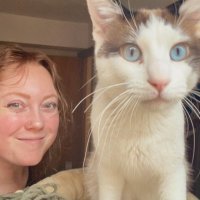 Emily Dickson (@emily_d45) 's Twitter Profile