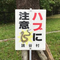 トレンドスター元メンバー😎 (@trendstarsgr1) Twitter profile photo