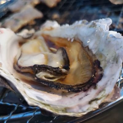 Tasuki58's profile picture. 19