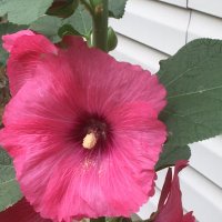 JohnnieMc (@johnniemcforms) 's Twitter Profile