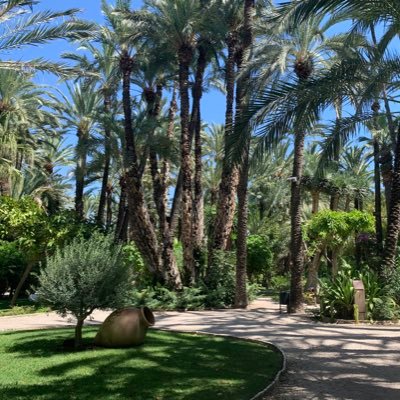 JonasCodde's profile picture. 