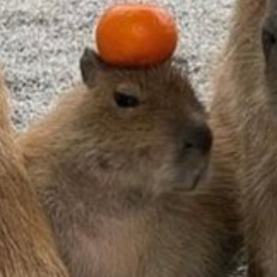 niffum29's profile picture. 