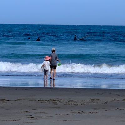 みどりちゃん🇳🇿移住計画中