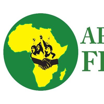 AfricanYouthFdn Profile Picture