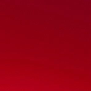 Roomn238's profile picture. 