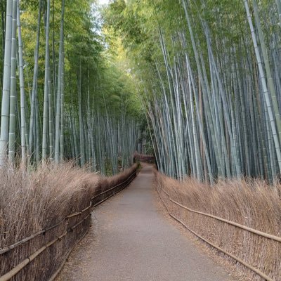 あまり活動していません