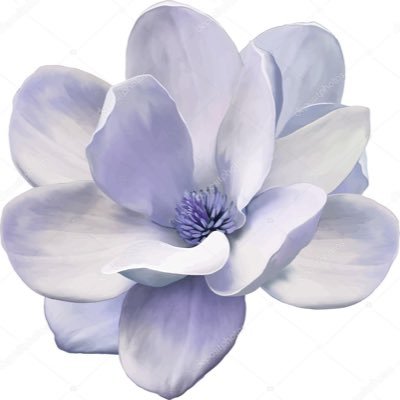 bluemagnoliaTX Profile Picture