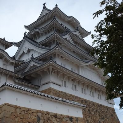 satoru3725's profile picture. 新潟市 172 64 42