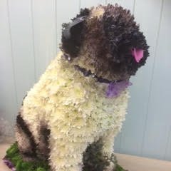 vladdave's profile picture. 