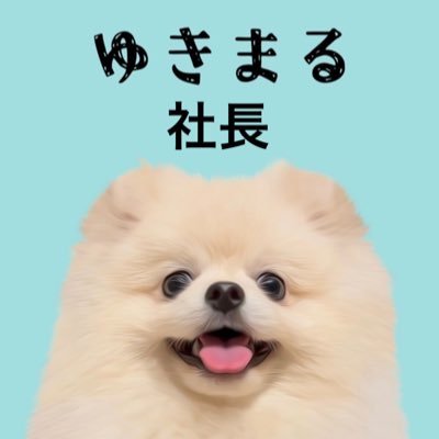 ゆきまる♂(2021.09.25)無言フォロー失礼します🙇わんちゃんに限らず動物好きな方仲良くしてください🥰ポメラニアン仲間はもっと仲良くしてください🐻‍❄️❤️インスタYouTubeも見てね💕︎  https://t.co/PmYeiIPSKg