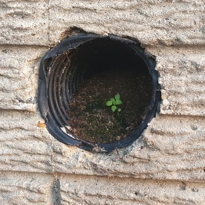 DaFish5050's profile picture. 