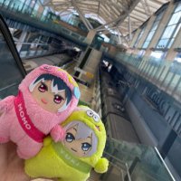 はーちゃん交換垢🍑プロカ必読 (@hana1720m) 's Twitter Profile Photo はーちゃん交換垢🍑プロカ必読 (@hana1720m) 's Twitter Profile Photo