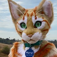 Colleen (@findadragon) 's Twitter Profile
