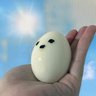 _ochibinosuke_'s profile picture. ゲームとおしゃべりが大好きなおちび︎︎ ♀です🐣いつか人間になりたいたまご🥚YouTubeで栄養満点の元気をお届け中！みんなであたためて育ててみてね♪あっゆで卵だけどね FM：📣🥚 FA：#あとりえっぐ　マシュマロ：https://t.co/lGHyMPvs0u