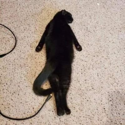 JosMigu13310173's profile picture. 