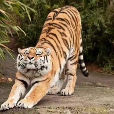 weslay8888's profile picture. 