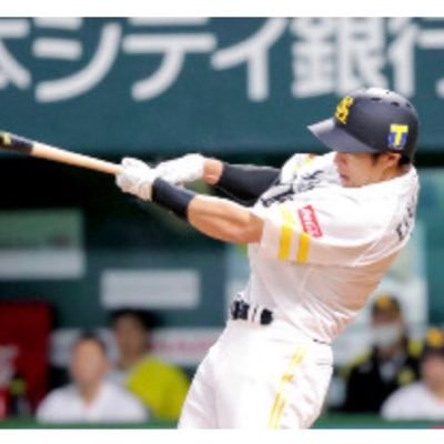 高校野球 関西鷹党 今年は京セラ以外にペイペイ、バンテリン、エスコン行く予定