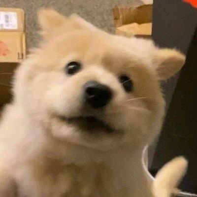miye_nkunq's profile picture. 