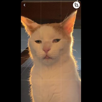 Slumpy499937986's profile picture. 