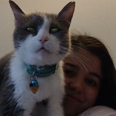 SingingXGamer's profile picture. Just a girl whom loves to sing and play video games.