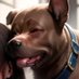 A Dog 🔞 (@adogdiffusion) Twitter profile photo A Dog 🔞 (@adogdiffusion) Twitter profile photo
