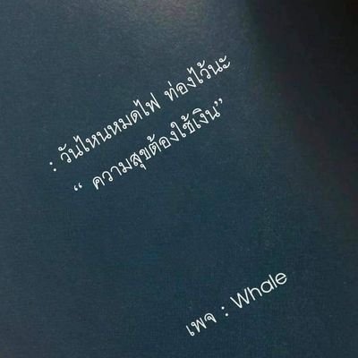 sunnyisbabybird's profile picture. CEO of myself/
SNIPER&Brand-new Ahgase