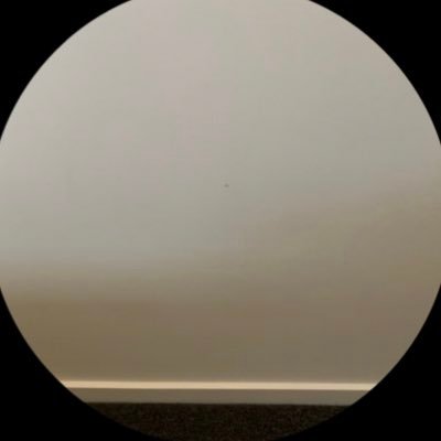 georgia818067's profile picture. 