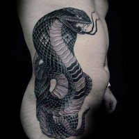 RULER COBRA (@rulercobra) 's Twitter Profile Photo RULER COBRA (@rulercobra) 's Twitter Profile Photo
