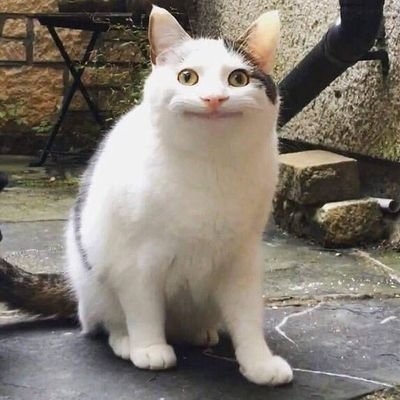 PtXkoSEKZfmB8wn's profile picture. エヴァンゲリオン/グルメ/映画/スイーツ（パンケーキ）
