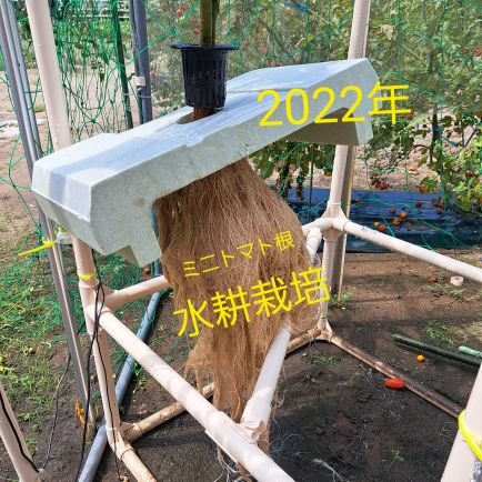 水耕栽培 家庭菜園4年目
ベランダ水耕栽培からミニハウスへ
ほぼ放置栽培システム作成中
養液循環は
ソーラーポンプで電源不要☺
失敗して試行錯誤
改善してまた失敗😣💦
楽しんでやりましょう
栽培期間中農薬不使用野菜🥬
大人の自由研究🗽🆓