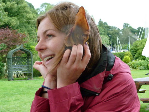 JulieAnnBarnes1's profile picture. 