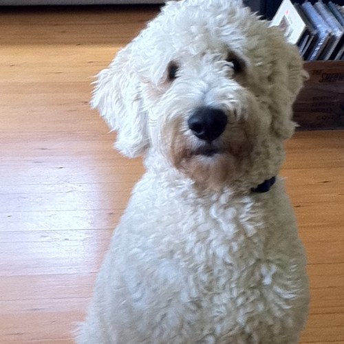 SheilaMcguirks's profile picture. 