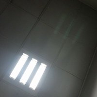 mahsa (@parsa40609910) 's Twitter Profile