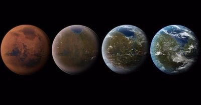 toritoru2021's profile picture. 🌙