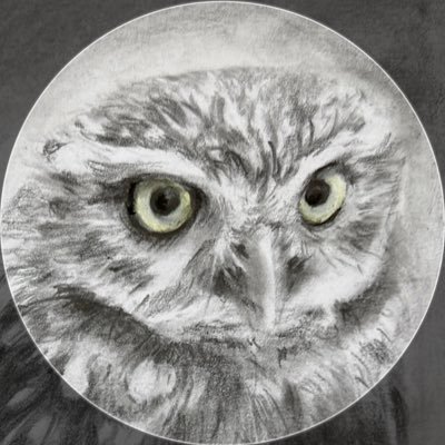本州最北に暮らすシベリアワシミミズク、コキンメフクロウ、サバクコノハズクたちの日常を中心に、たまに他の動物たちや食べ物、車などを上げてます。