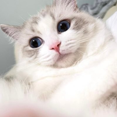 。さんのプロフィール画像