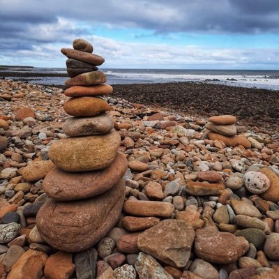 pontschoollib's profile picture. 