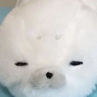 Mapi (@map1loo) 's Twitter Profile