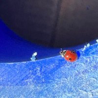 MainSqueeze (@mattwins85) 's Twitter Profile