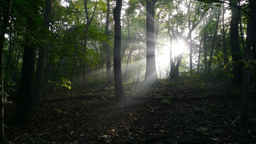 unmaskedpgh's profile picture. 