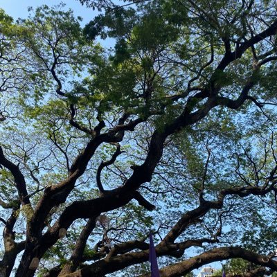 hazydaisyyyy's profile picture. Angat Buhay 💖